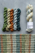 Load image into Gallery viewer, Reimagined Yarn Club - 4ply - November: Beachcomber
