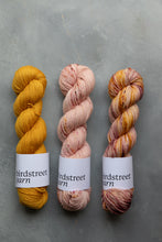 Load image into Gallery viewer, Bloomin&#39; Lovely - 4ply - Hand-dyed yarn

