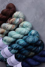 Load image into Gallery viewer, Fledgling- 4ply - Hand-dyed yarn
