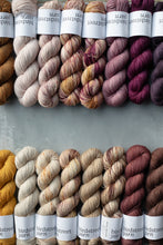 Load image into Gallery viewer, It&#39;s A Rocky Old Road - 4ply hand dyed yarn
