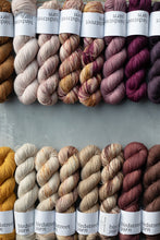 Load image into Gallery viewer, Clafoutis Patootie - 4ply hand dyed yarn
