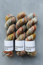 Load image into Gallery viewer, Conkers At Dawn - 4ply - Hand-dyed yarn
