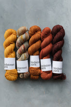 Load image into Gallery viewer, Conkers At Dawn - 4ply - Hand-dyed yarn

