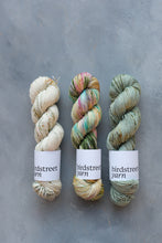 Load image into Gallery viewer, Kelp - 4ply - Hand-dyed yarn
