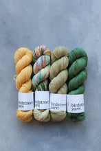 Load image into Gallery viewer, Cool Beans - 4ply - Hand-dyed yarn
