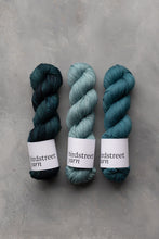 Load image into Gallery viewer, Cove - 4ply - Hand-dyed yarn
