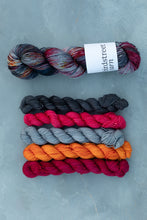 Load image into Gallery viewer, Reimagined Yarn Club - Darkside Set
