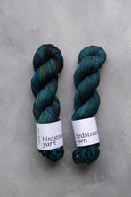 Load image into Gallery viewer, Dark Waters - 4ply - Hand-dyed yarn
