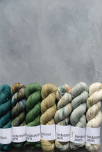 Load image into Gallery viewer, One Little Speckled Frog - 4ply - Hand-dyed yarn
