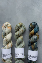 Load image into Gallery viewer, Beachcomber - DK - Hand-dyed yarn
