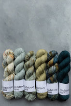 Load image into Gallery viewer, Beachcomber - DK - Hand-dyed yarn
