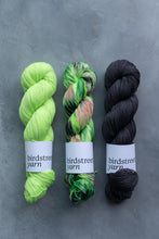 Load image into Gallery viewer, Defying Gravity - 4ply - Merino 75 and Zebra
