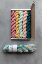 Load image into Gallery viewer, Reimagined Yarn Club - 4ply - a Doyouthinkhesaurus? PRE-ORDER
