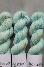 Load image into Gallery viewer, Fledgling- 4ply - Hand-dyed yarn
