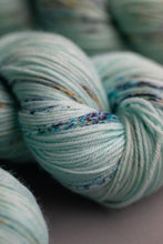 Load image into Gallery viewer, Fledgling- 4ply - Hand-dyed yarn
