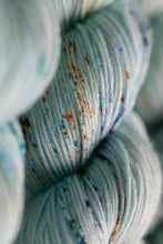 Load image into Gallery viewer, Fledgling- 4ply - Hand-dyed yarn
