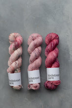 Load image into Gallery viewer, French Earl Grey - 4ply Hand-dyed yarn
