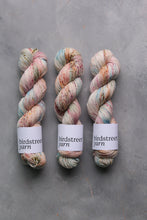 Load image into Gallery viewer, Friluftsliv -  4ply - hand dyed yarn
