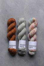 Load image into Gallery viewer, Friluftsliv -  4ply - hand dyed yarn

