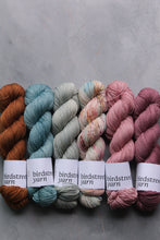 Load image into Gallery viewer, Friluftsliv -  4ply - hand dyed yarn
