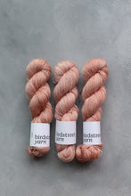 Load image into Gallery viewer, Geum - 4ply - Single XF Merino/Mohair
