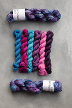 Load image into Gallery viewer, Feel The Power Minis Set - 4ply - 6x20g minis
