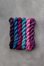 Load image into Gallery viewer, Feel The Power Minis Set - 4ply - 6x20g minis
