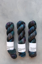 Load image into Gallery viewer, Fabulous Starling! - 4ply - Hand-dyed yarn
