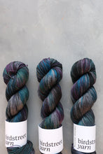 Load image into Gallery viewer, Fabulous Starling! - 4ply - Hand-dyed yarn
