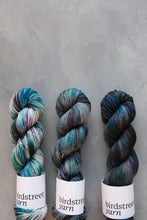 Load image into Gallery viewer, Sky Pirate - 4ply - Hand-dyed yarn
