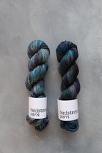 Load image into Gallery viewer, Fabulous Starling! - 4ply - Hand-dyed yarn
