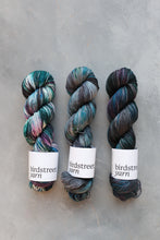 Load image into Gallery viewer, Stop The Pigeon- 4ply - Hand-dyed yarn
