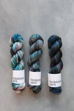 Load image into Gallery viewer, Sky Pirate - 4ply - Hand-dyed yarn
