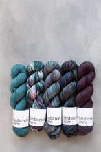 Load image into Gallery viewer, Fabulous Starling! - 4ply - Hand-dyed yarn
