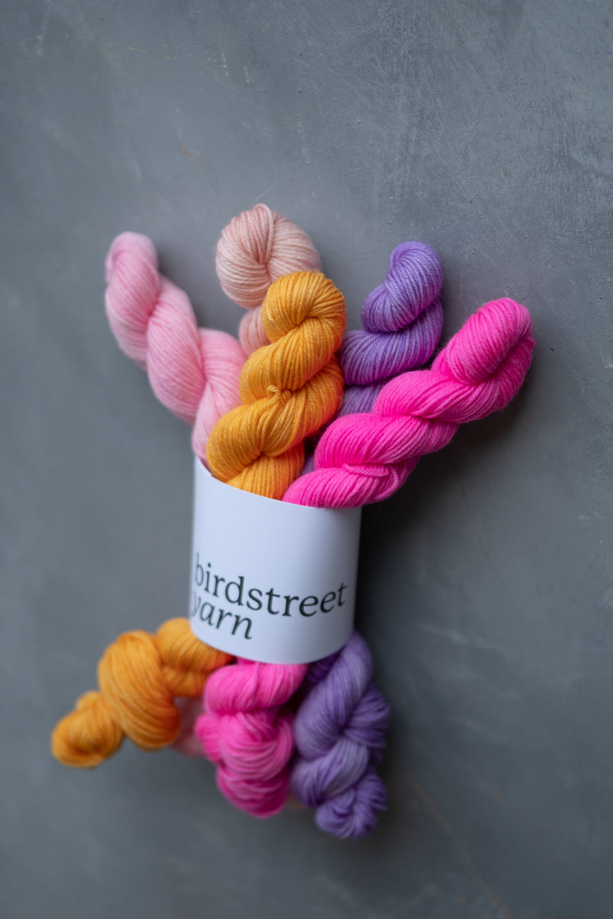 Groove is In The Heart Minis Set - 4ply - 5x20g minis