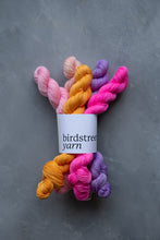 Load image into Gallery viewer, Groove is In The Heart Minis Set - 4ply - 5x20g minis
