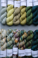 Load image into Gallery viewer, Hollywood Handshake - 4ply - Hand-dyed yarn
