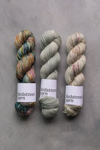 Load image into Gallery viewer, What am I?... a TRAITOR! - 4ply hand dyed yarn
