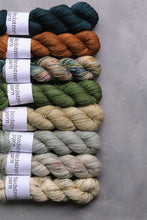 Load image into Gallery viewer, What am I?... a TRAITOR! - 4ply hand dyed yarn
