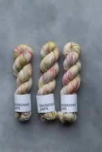 Load image into Gallery viewer, Last Night's Soirée - 4ply - Hand-dyed yarn
