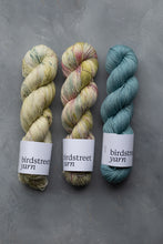 Load image into Gallery viewer, Last Night's Soirée - 4ply - Hand-dyed yarn
