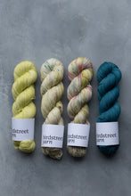 Load image into Gallery viewer, Last Night's Soirée - 4ply - Hand-dyed yarn
