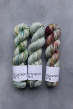 Load image into Gallery viewer, Lovely Shrubbery - 4ply - Hand-dyed yarn
