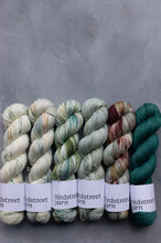 Load image into Gallery viewer, Lovely Shrubbery - 4ply - Hand-dyed yarn
