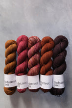 Load image into Gallery viewer, Dietrich - 4ply - Hand-dyed yarn (Yak 70)
