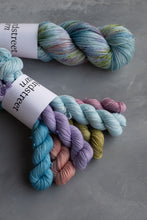 Load image into Gallery viewer, Mermaid's Purse Minis Set - 4ply - 6x20g minis
