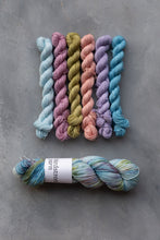 Load image into Gallery viewer, Mermaid's Purse Minis Set - 4ply - 6x20g minis
