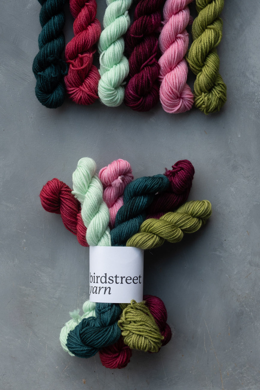 Merry Little Christmas - 6x20g DK Minis Set