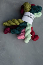 Load image into Gallery viewer, Merry Little Christmas - 6x20g DK Minis Set
