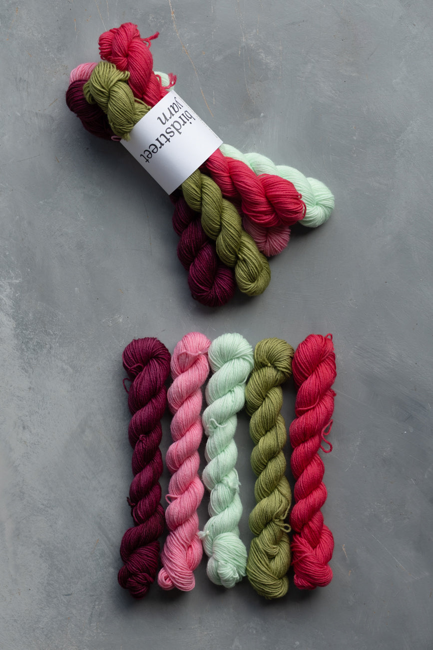 Merry Little Christmas Minis Set 5x20g